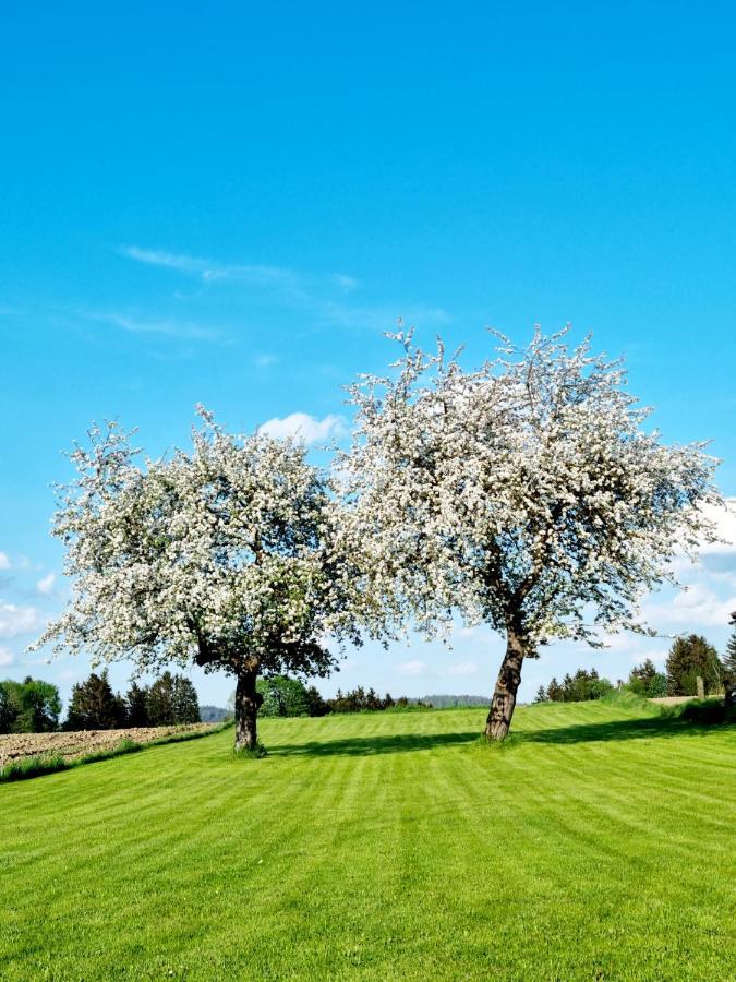 Ferienhaus Ritzmais بيشوفسمايس المظهر الخارجي الصورة